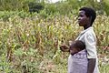 120px-Woman_farmer_and_baby,_Malawi