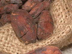cacao-beans-91083__180