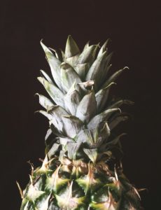 pineapple-1461198_1280