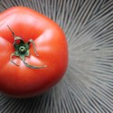 Visit: An Answer to the Stanford Research Study on Organic Food Image for An Answer to the Stanford Research Study on Organic Food