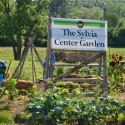 Image for An Interview with Julie Cerny & Anna Hammond of The Sylvia Center