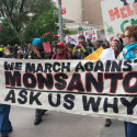 Image for In the News: March Against Monsanto, What’s In Your Green Tea?, Connecticut Senate Supports GMO Labeling, Who Owns Organic?, Breeding the Nutrition Out of Our Food