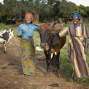 Image for An Interview with Tom Lyon of Heifer International