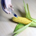 Visit: Take Action: Cancer-Causing Ingredient Found in Pepsi Products, Stop the Lies about Carrageenan, Keep Glyphosate Off Your Plate Image for Take Action: Cancer-Causing Ingredient Found in Pepsi Products, Stop the Lies about Carrageenan, Keep Glyphosate Off Your Plate