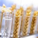 Visit: Take Action: Divest Monsanto Now, NY State Energy Plan Comment Form, Oppose the New Anti-GE Labeling Act Image for Take Action: Divest Monsanto Now, NY State Energy Plan Comment Form, Oppose the New Anti-GE Labeling Act