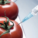 Visit: Take Action: Food should be Food!, Get Soda off Restaurant Children’s Menus, Tell Starbucks to Serve Only Organic, Non-GMO Milk Image for Take Action: Food should be Food!, Get Soda off Restaurant Children’s Menus, Tell Starbucks to Serve Only Organic, Non-GMO Milk