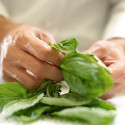 Visit: In the News: One in 3 U.S. Households are Now Growing Food, Most Norovirus Outbreaks Caused By Food Preparation Workers, Greenpeace Seafood Sustainability Scorecard Image for In the News: One in 3 U.S. Households are Now Growing Food, Most Norovirus Outbreaks Caused By Food Preparation Workers, Greenpeace Seafood Sustainability Scorecard