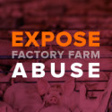 Image for Take Action: Protect Those Who Expose Abuse At Factory Farms; Let’s Keep Up The Fight To Stop The TPP; Tell Obama to Protect the Arctic