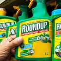 Visit: In The News: France Bans the World’s Leading Herbicide From Garden Stores; Masai Women Are Leading a Solar Revolution with Donkeys; Perdue Would Not Want You to See This Video Image for In The News: France Bans the World’s Leading Herbicide From Garden Stores; Masai Women Are Leading a Solar Revolution with Donkeys; Perdue Would Not Want You to See This Video