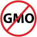 Image for In The News: 400 Companies that Do Not Use GMO’s in Their Products; Obesity Will Soon Overtake Smoking as Principal Cause of Cancer; DARK Act Passes the House