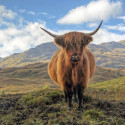 Visit: In The News: Scotland Announces Total Ban of Monsanto’s GMO Crops; Factory Farm 360 Video; A Huge Algae Bloom Off the Pacific Coast Is Poisoning Sea Life; Coca-Cola Pays Scientists To Say Obesity is Not the Result of Bad Diets Image for In The News: Scotland Announces Total Ban of Monsanto’s GMO Crops; Factory Farm 360 Video; A Huge Algae Bloom Off the Pacific Coast Is Poisoning Sea Life; Coca-Cola Pays Scientists To Say Obesity is Not the Result of Bad Diets