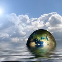 Visit: In the News: FDA Bans Chemicals in Soap; G20 Summit Reports Bad Behavior; Beijing Officiate Better Poultry Standard Image for In the News: FDA Bans Chemicals in Soap; G20 Summit Reports Bad Behavior; Beijing Officiate Better Poultry Standard